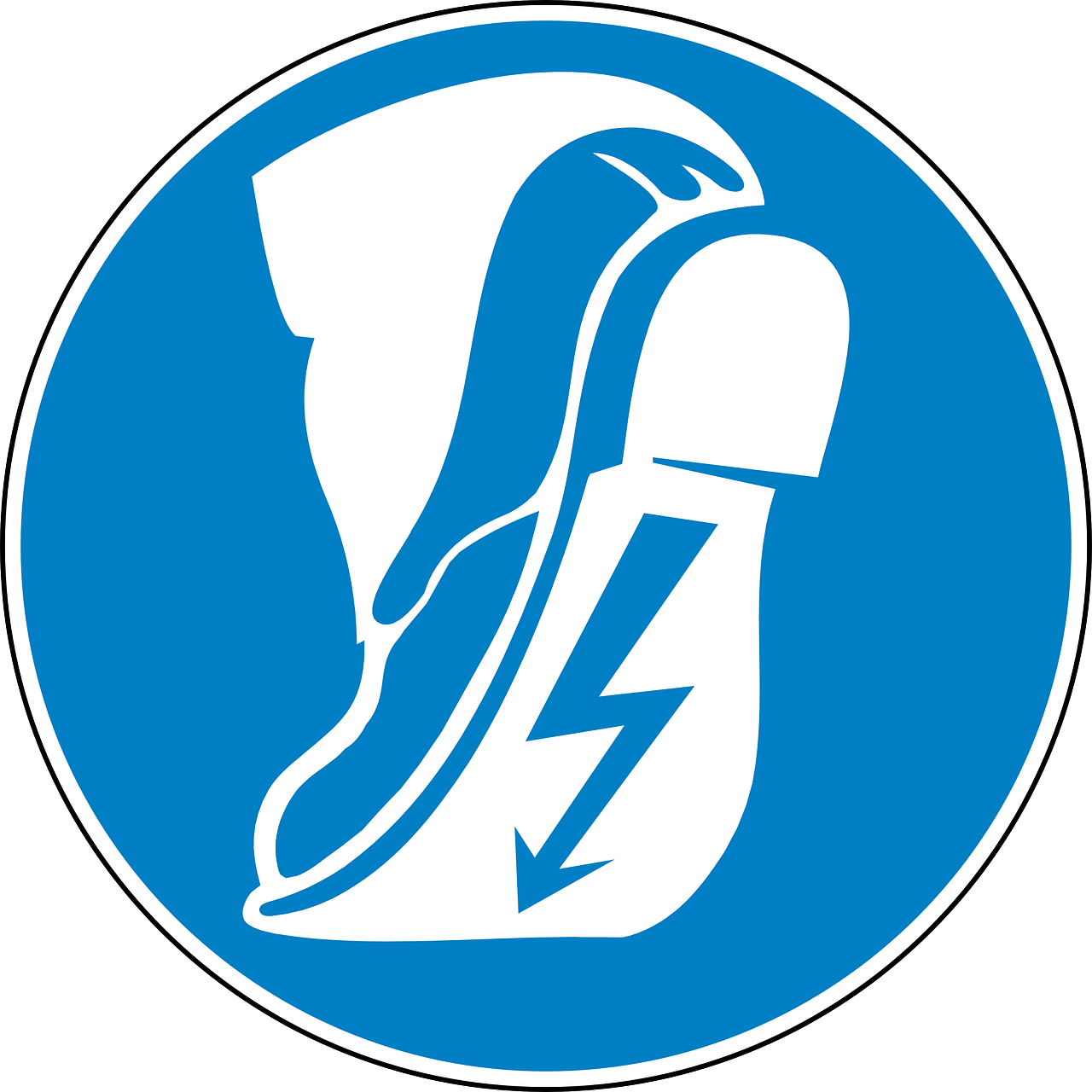 Safety Shoe Non-conducting Png Image - Logo De Zapatos De Seguridad (1280x1280)