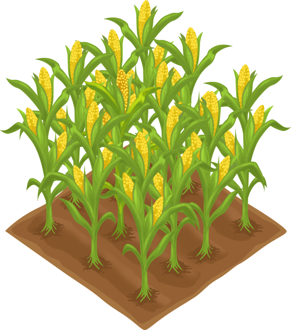 Clip Art Of Crops - Crops Clipart (1000x1135)