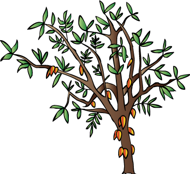 Illustration Of Crop, Cacao - Cocoa Tree Clip Art (392x360)