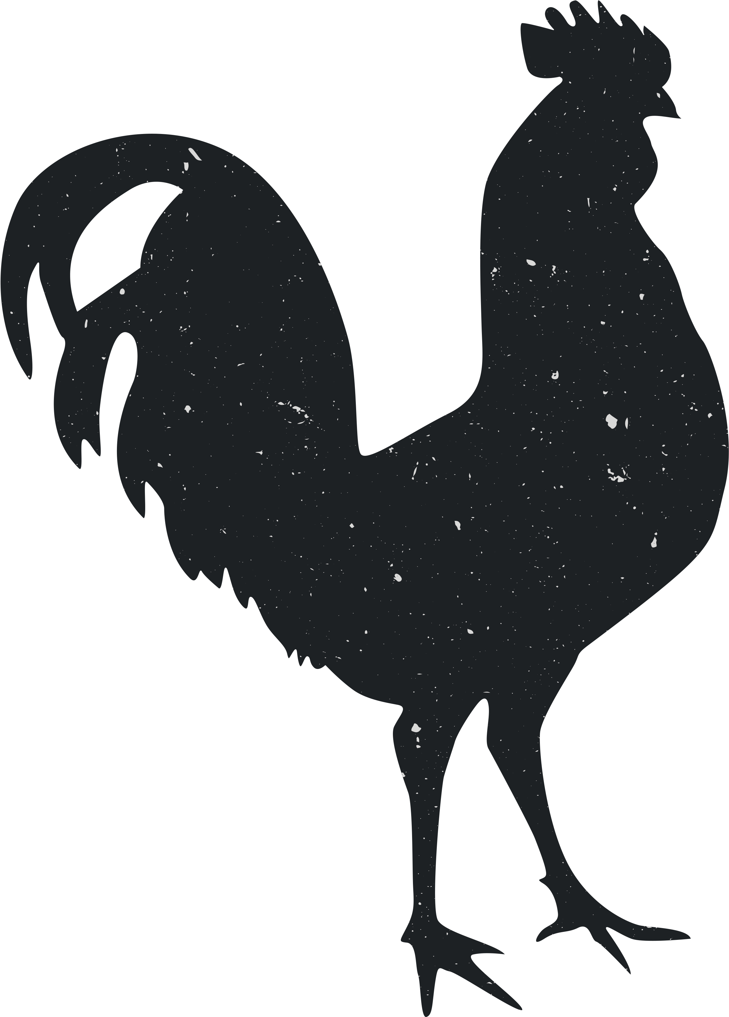 Silhouette Rooster Animal Computer File - Silhouette (3600x3600)