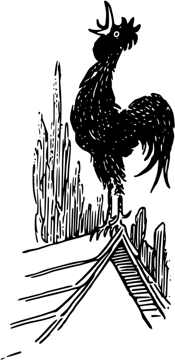 Picture Of A Rooster - Rooster (369x800)