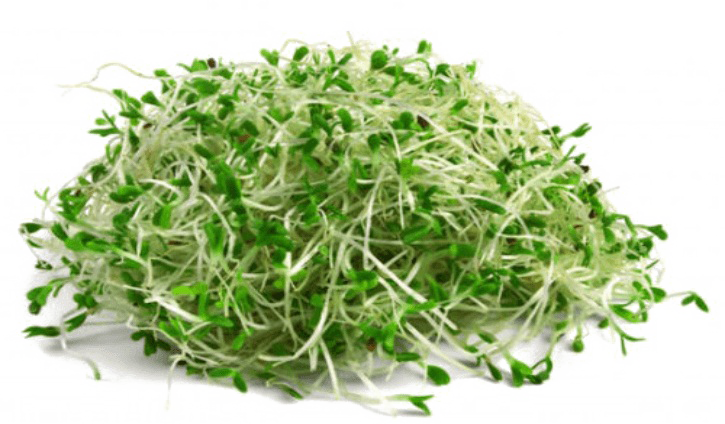 Download Png Image Report - Alfalfa Sprouts (725x424)