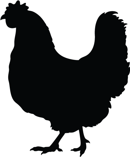 Simple Rooster Silhouette - Crazy Chicken Lady Crazy Chicken Lady Sticker (oval) (612x792)