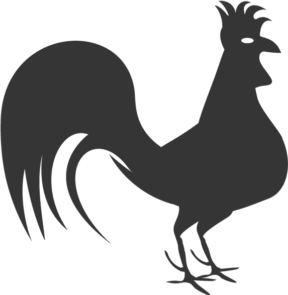 Fluffy Rooster - Portable Network Graphics (600x600)