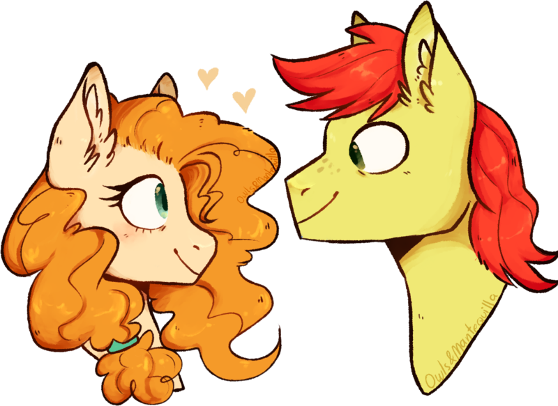 Owlsandmantequilla, Bright Mac, Bust, Pear Butter, - Mlp Buttercup Bright Mac Art (800x583)