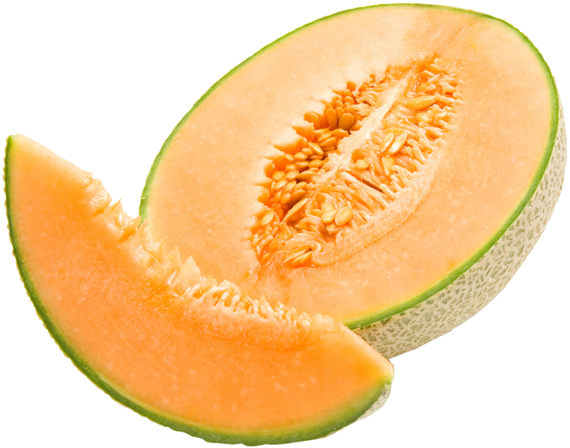 Melon Png - Edisto 47 - Cantaloupe Seeds (800x630)