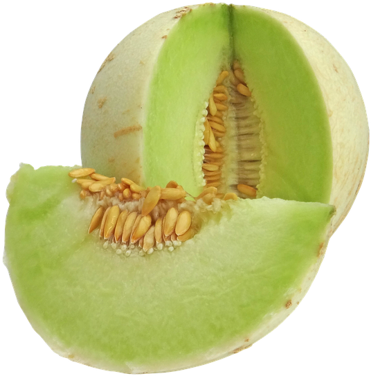 Honeydew Cantaloupe Canary Melon Clip Art - Honeydew Melon Png (720x720)