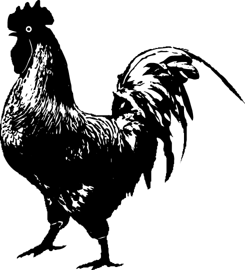 Don't Build From Scratch - Rooster (490x540)