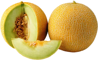 Vitamins In Melon (443x317)