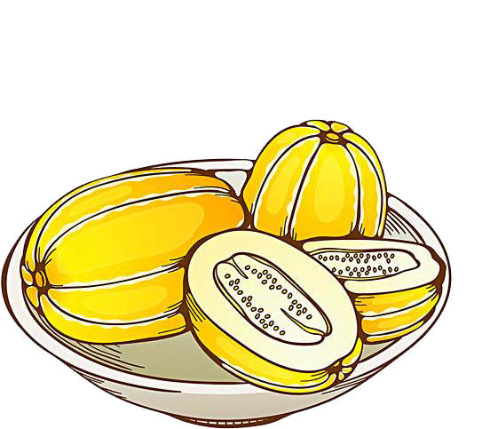 Cantaloupe Korean Melon Honeydew - Cantaloupe Korean Melon Honeydew (600x547)