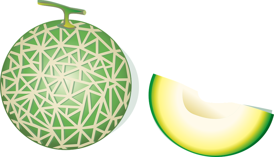 무료 벡터 그래픽 - Melon Vector Png (960x551)