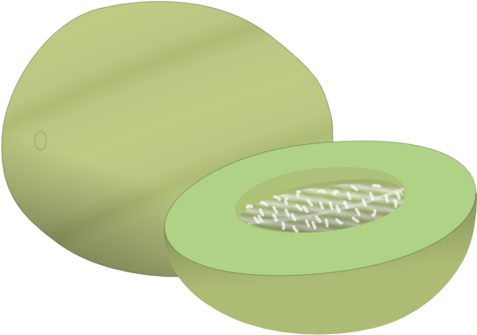 Cantaloupe Clipart Honeydew - Melon Vektor (600x401)