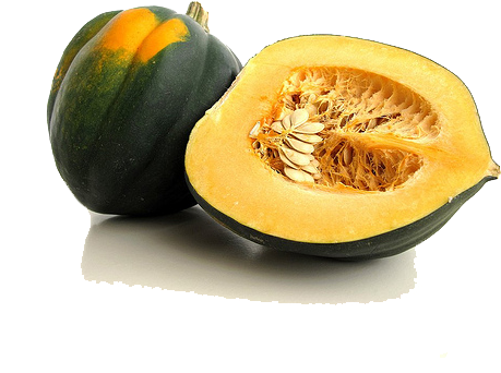 Acorn Squash Png Clipart - Clipart Squash (500x375)