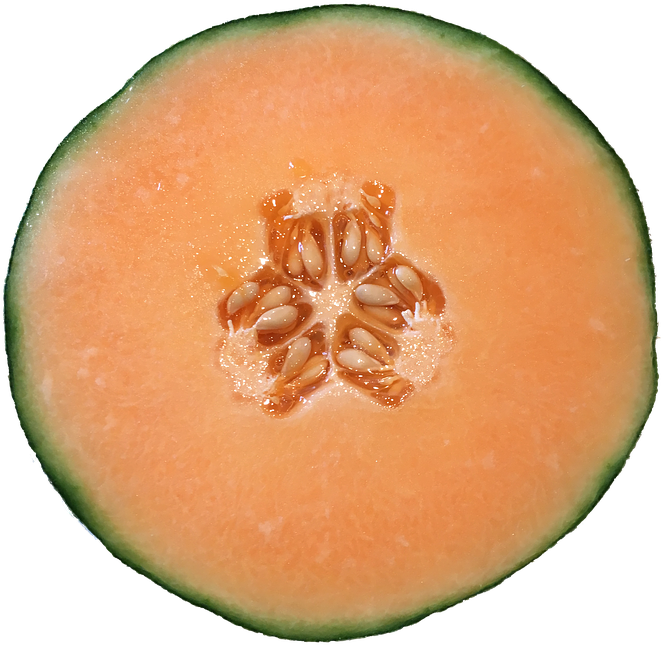 Cantaloupe Cliparts - Cantaloupe Png (720x720)