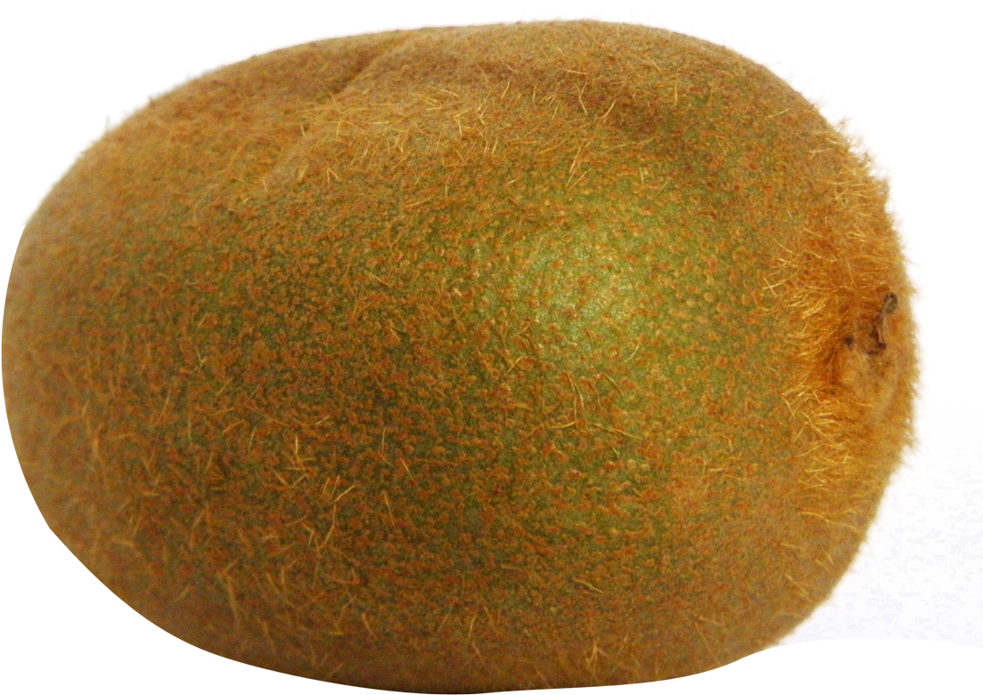 Kiwi Clipart Brown Fruit - Portable Network Graphics (1159x861)