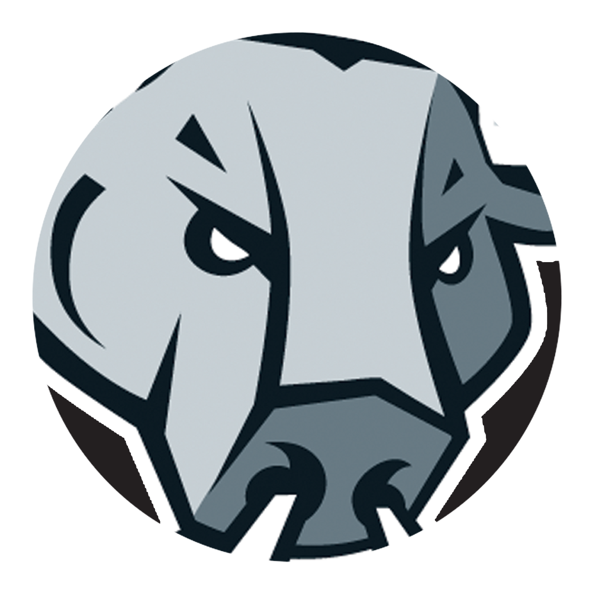 San Antonio Rampage - San Antonio Rampage Logo (1500x1500)