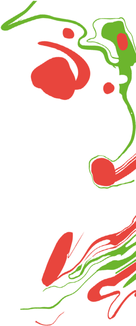 Experience An Unforgettable Culinary Journey, Captained - Festival (508x2000)