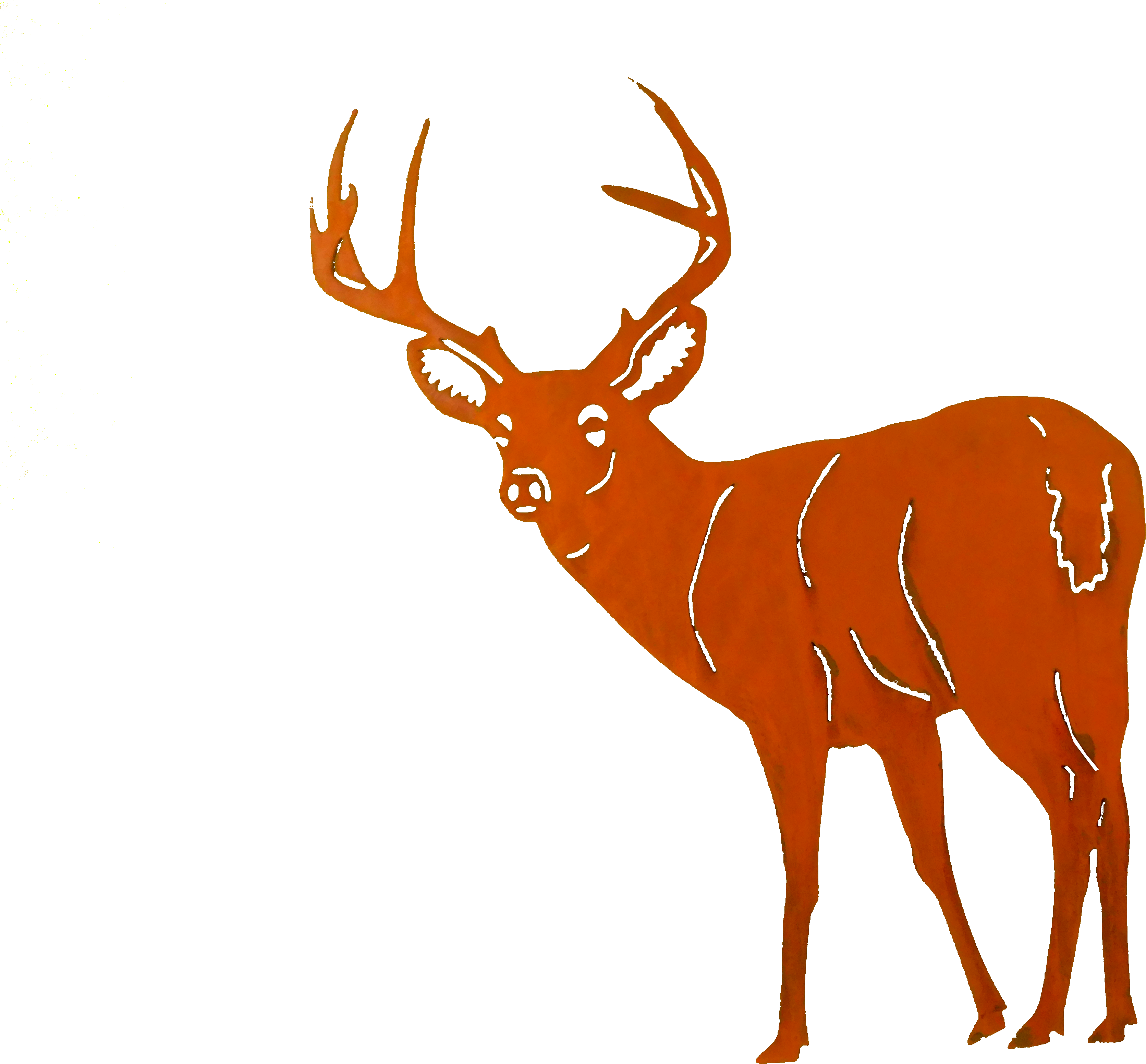 Buck2 Large - Deer (4608x3456)
