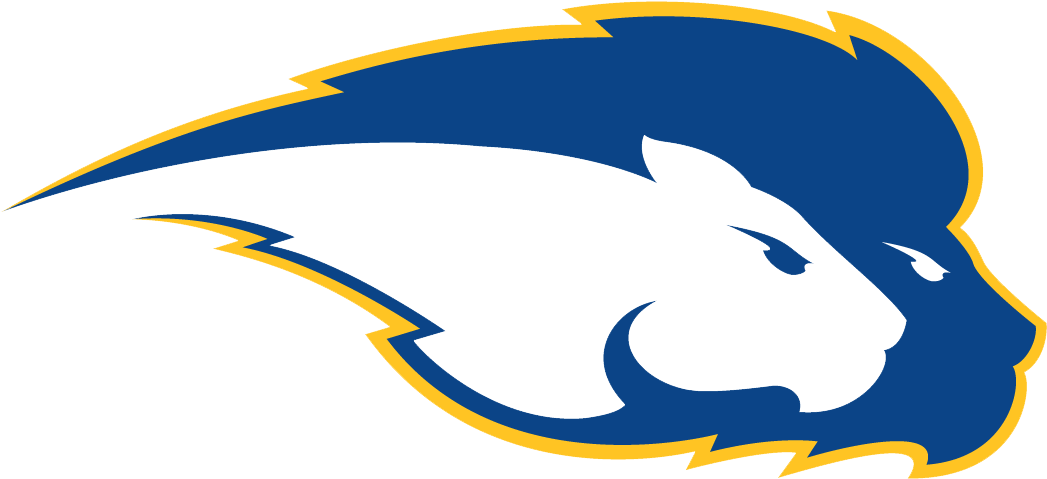 Hofstra Womens Field Hockey Data - Hofstra Pride (1046x1046)