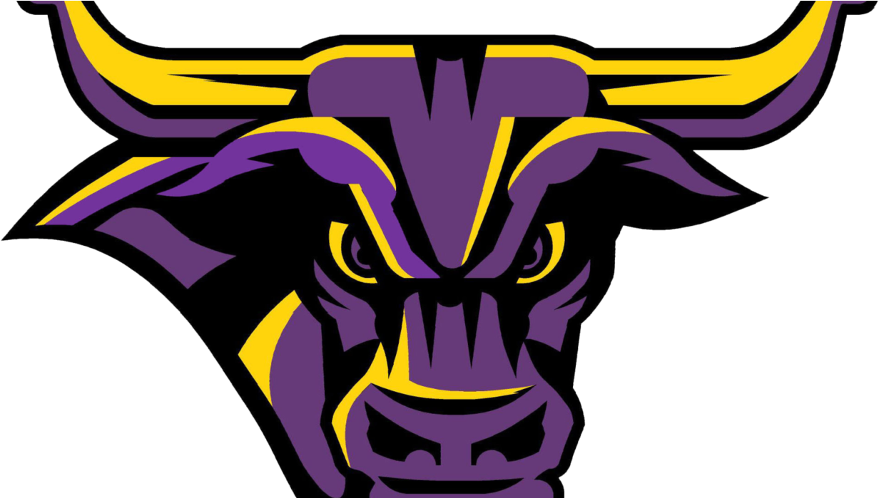 College Women's Hockey Preview - Minnesota State University, Mankato (1240x698)