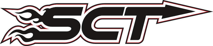 No Matter What Your Looking For - Sct Logo (891x195)