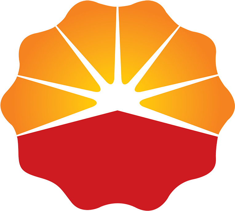 Cnpc 190 Series Gas Engine Generator Set - World Most Valuable Company 2010 (800x749)