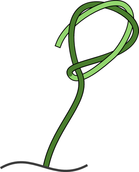 Hope That You Found This Useful - Bowyers Knot (485x599)