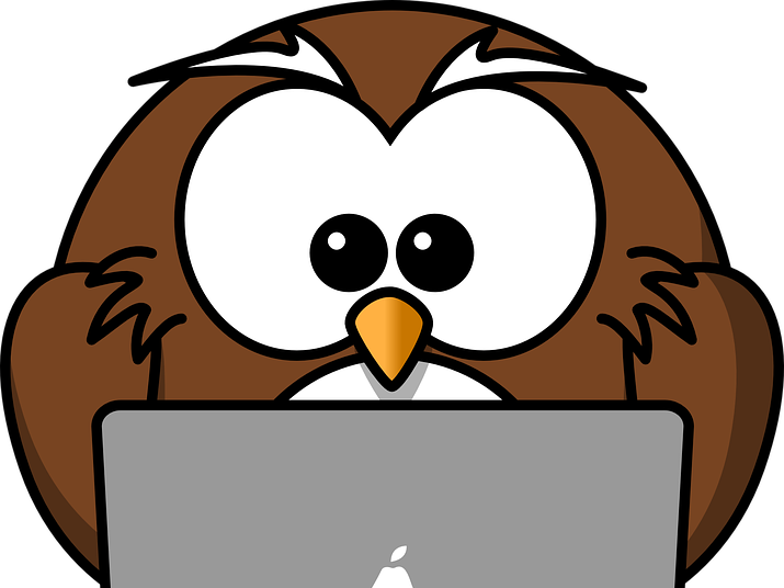 Quiz On James And The Giant Peach By Roald Dahl - Cartoon Owl (715x536)