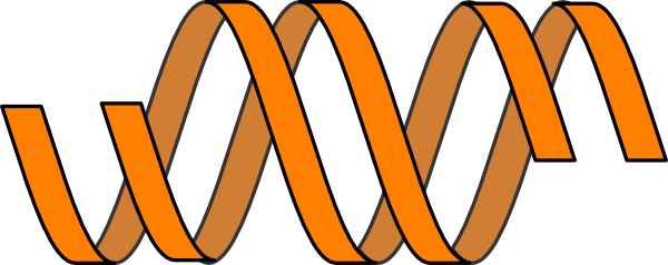 Short Helix Clip Art - Helix Clipart (600x238)