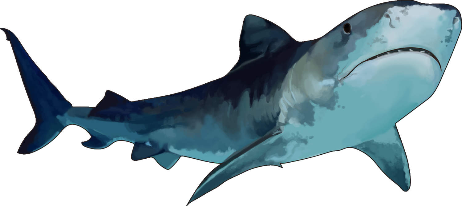 My Favorite Part Of James And The Giant Peach Is When - Sharks From James And The Giant Peach (1500x670)