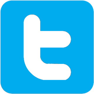 Montford Park Players On Twitter - Twitter Icon Vector Flat (400x348)