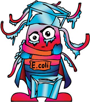 Temperature And Germs - Temperature And Germs (336x401)