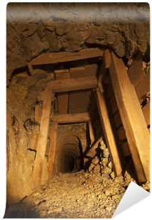 Designing Truth By Toni Petrinoivch (400x400)