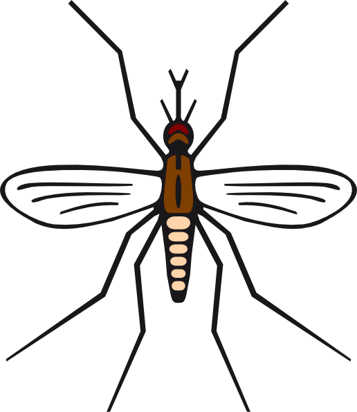 Mosquito In Brown Color Clip Art - Mosquito Black And White (516x596)