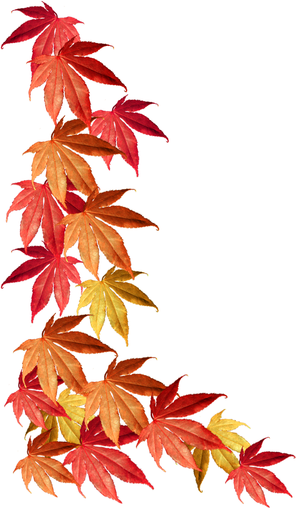 Border Of Autumn Leaves - Autumn Leaves Border Png (787x1102)