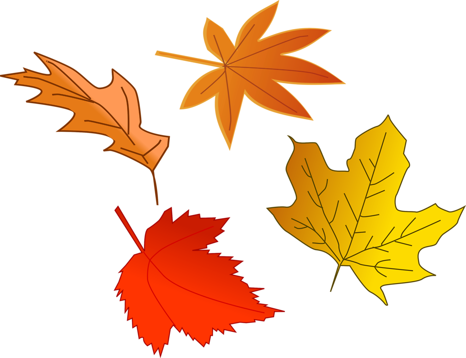 Click The Slide That You Want To Add A Background Picture - Leaves Falling Clip Art (976x750)