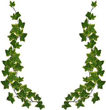 Ivy Clipart Free Download Clip Art On Border - First Holy Communion Clip Art (360x381)
