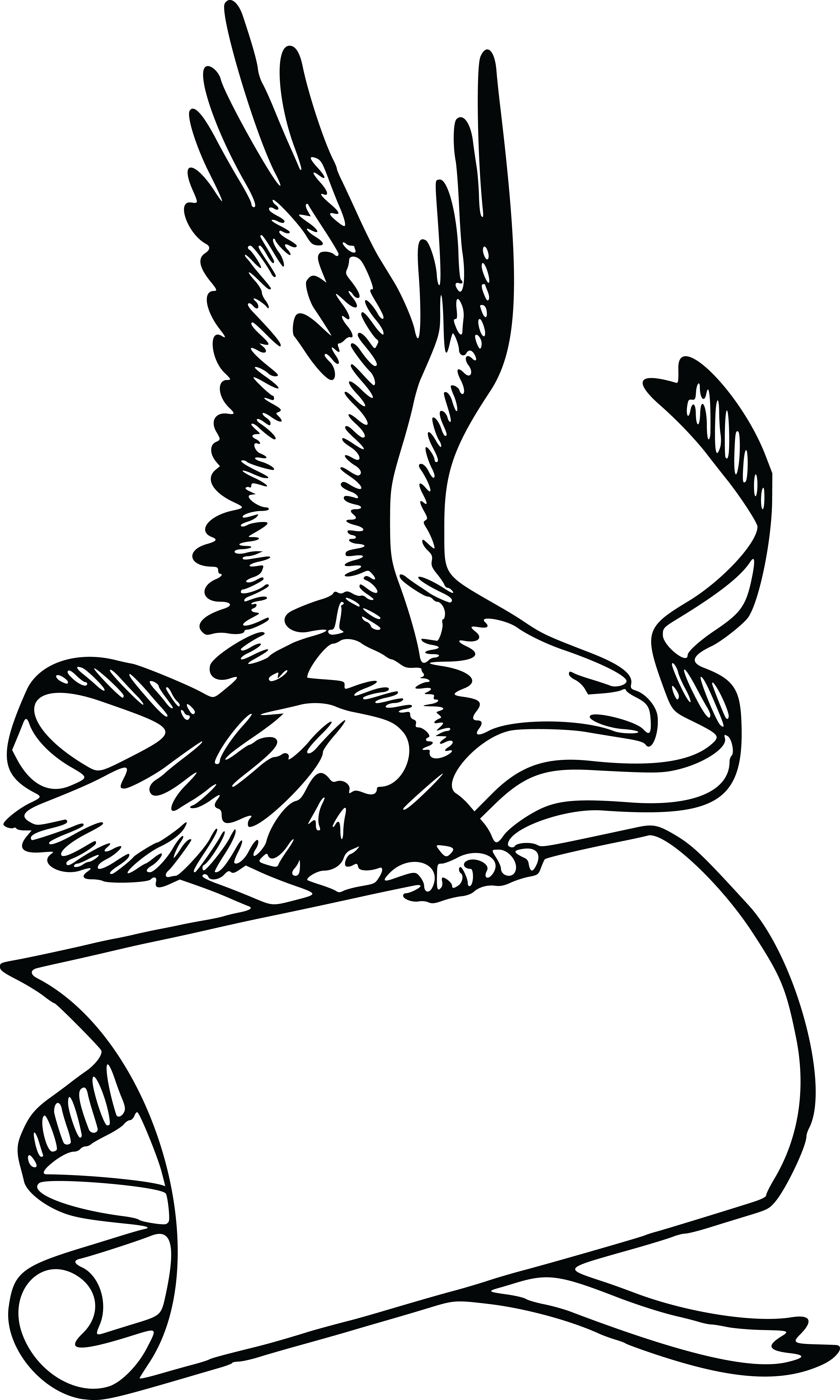 Free Clipart Of A Banner And Bald Eagle - Eagle With Banner (4000x6666)