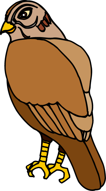 Hawk Clip Art - صقر كليب ارت (354x633)