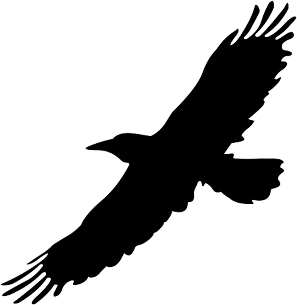 Big Bird Flight Crows Clip Art - Big Bird Flight Crows Clip Art (1019x1042)