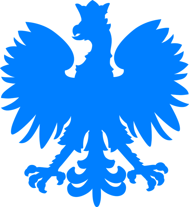 Polish Eagle Svg (657x720)