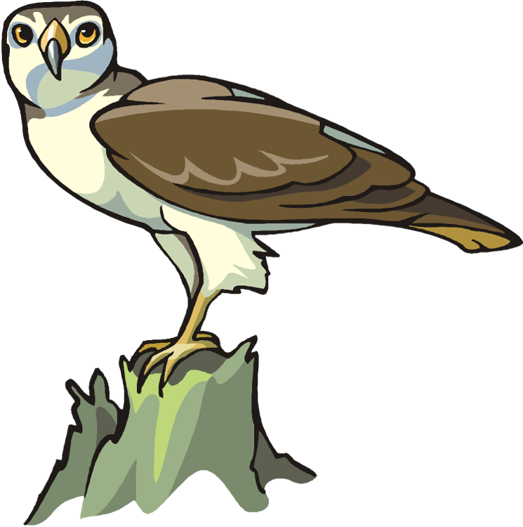 Free Eagle Clipart - Bird Of Prey (745x750)