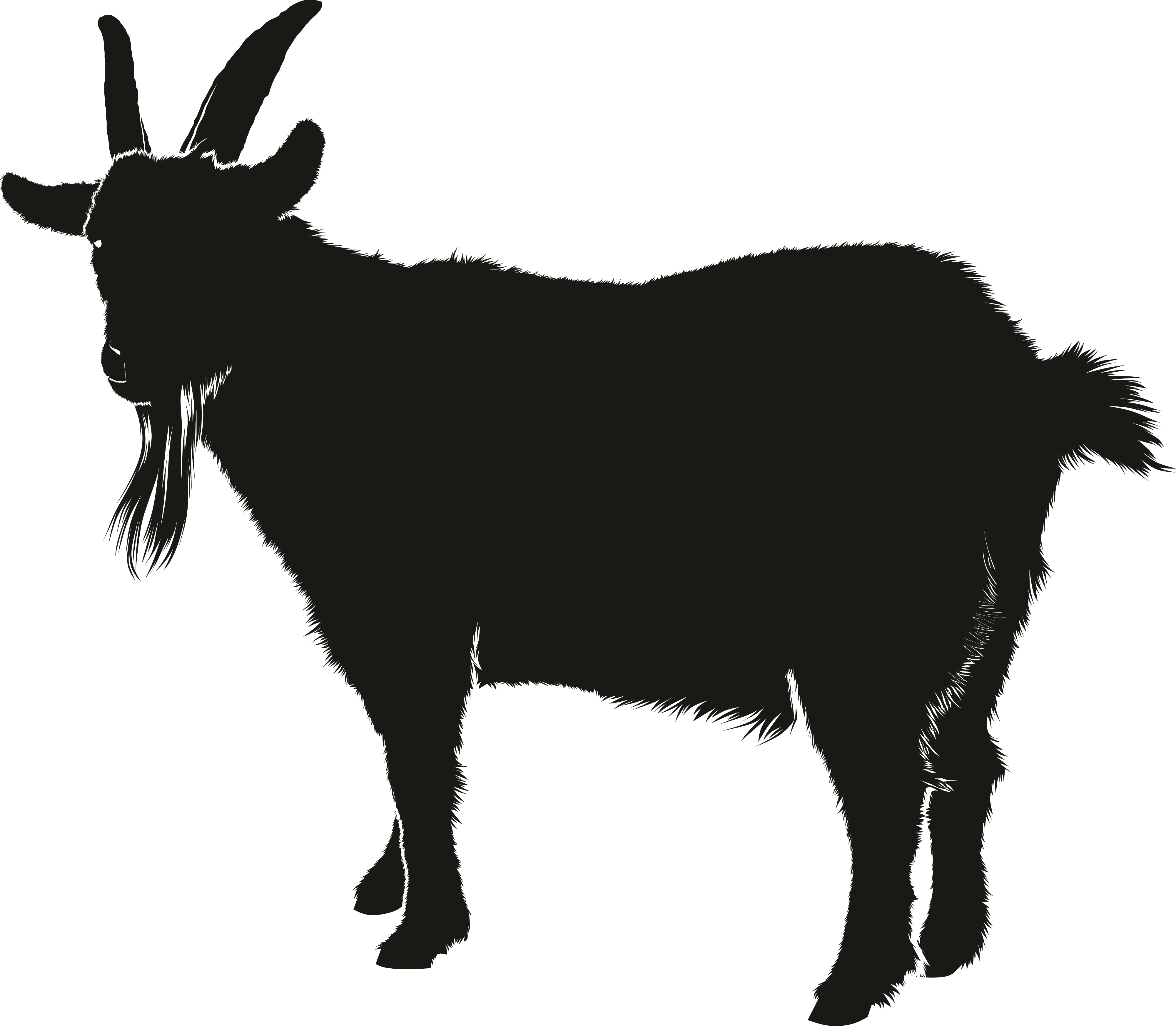 Free Clipart Of A Goat - Goat Vector (4000x3489)