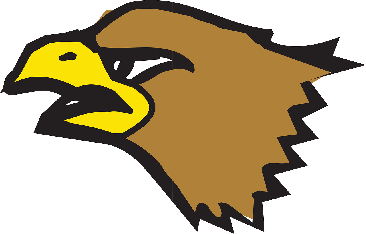 Head Brown Eagle Bird Beak - Birds 3: In Plastic Canvas [book] (1280x819)