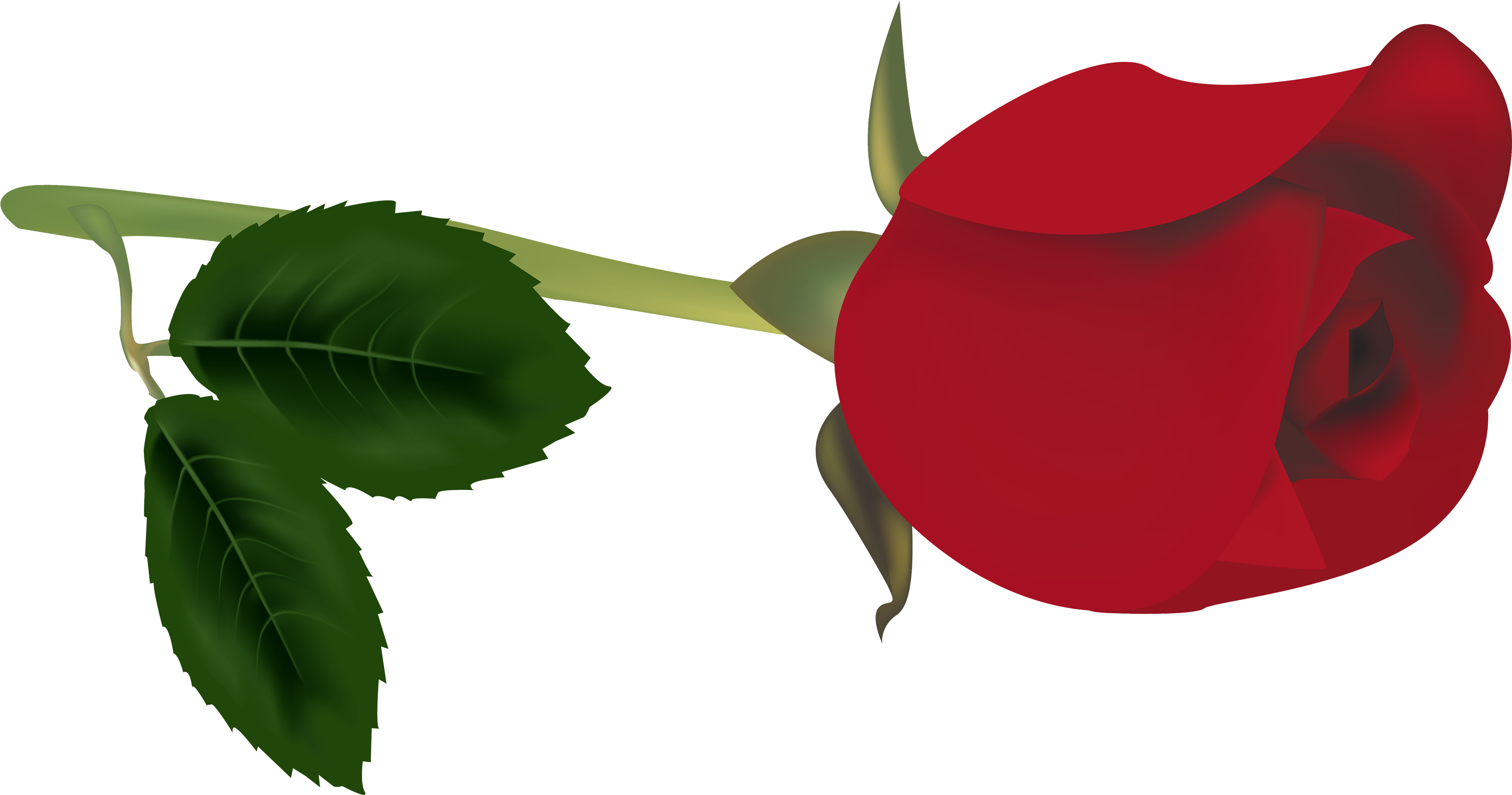 Bud Clipart Red Rose - Red Rose Bud Transparent (4000x2136)