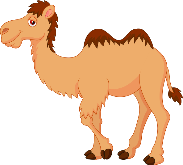 Cute Camel Clipart Funny Pictures - Camel Cartoon (600x600)