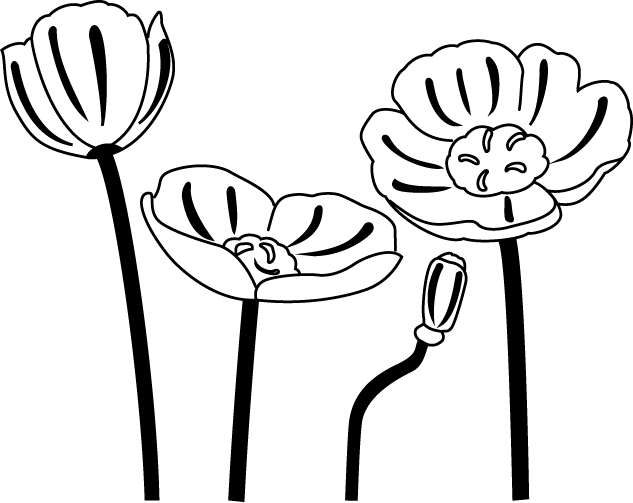 Poppy Clip Art Black And White - Poppies Black And White Clipart (633x503)