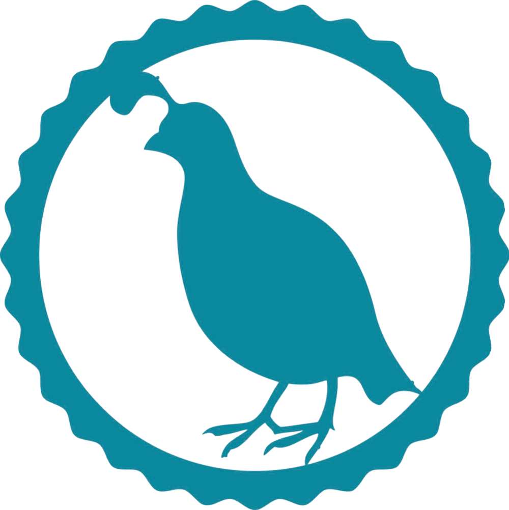 Anzac Day Clipart (1000x1002)