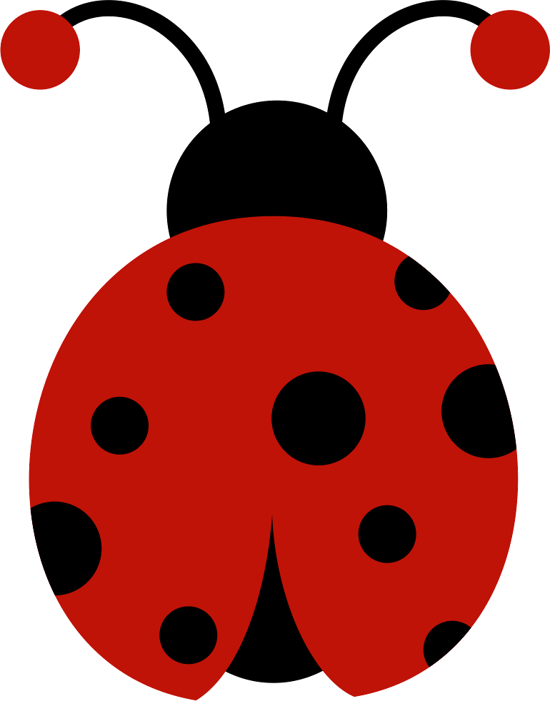 Joaninha - Minus - Joaninha Ladybug (770x982)