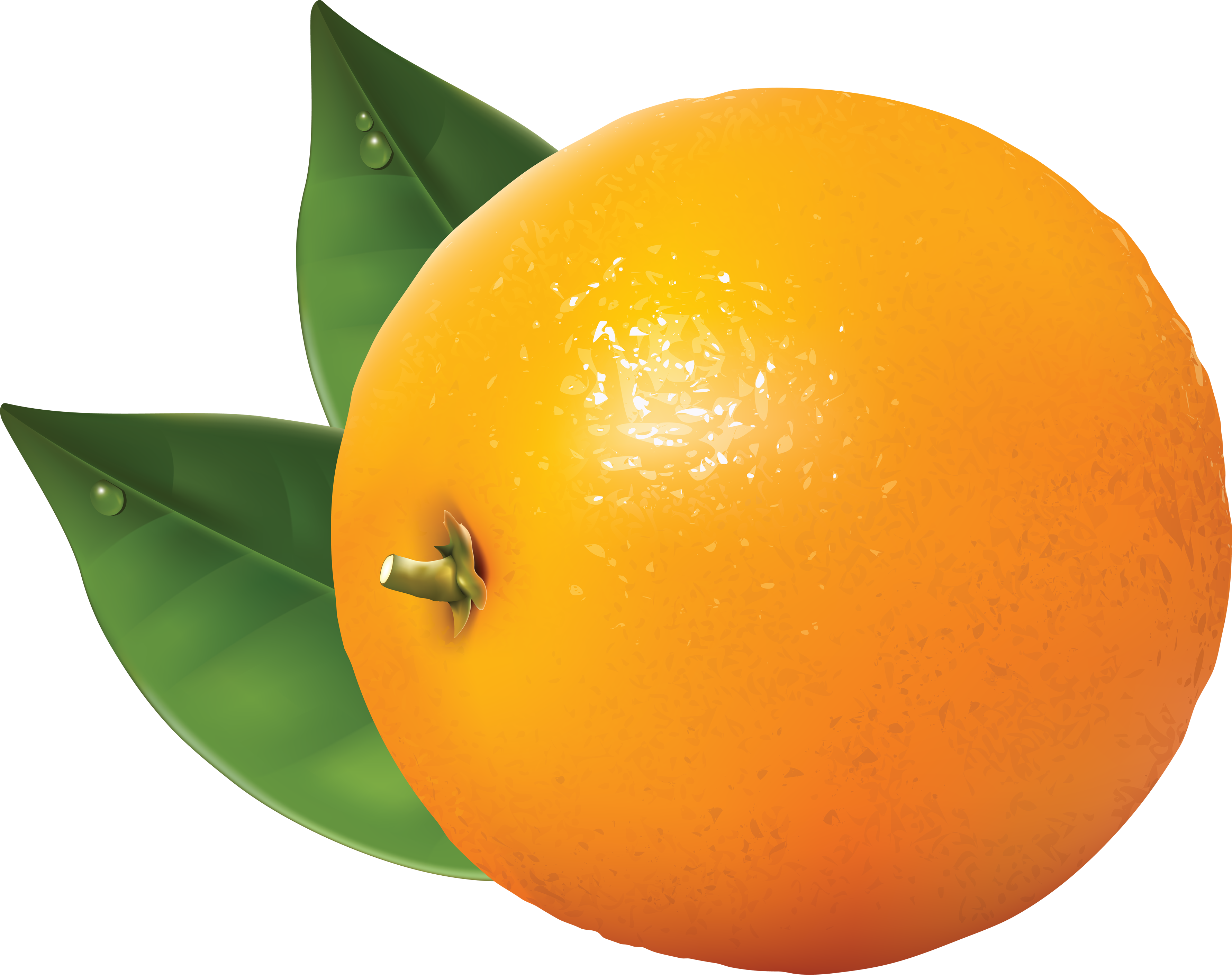 Orange Clip Art Free Clipart Images - Orange Clipart Transparent (3560x2818)